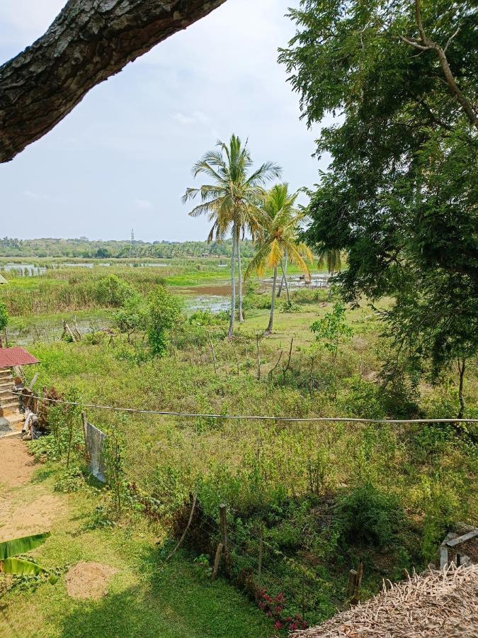 Hotel Three Little Birds Tangalle Exterior foto