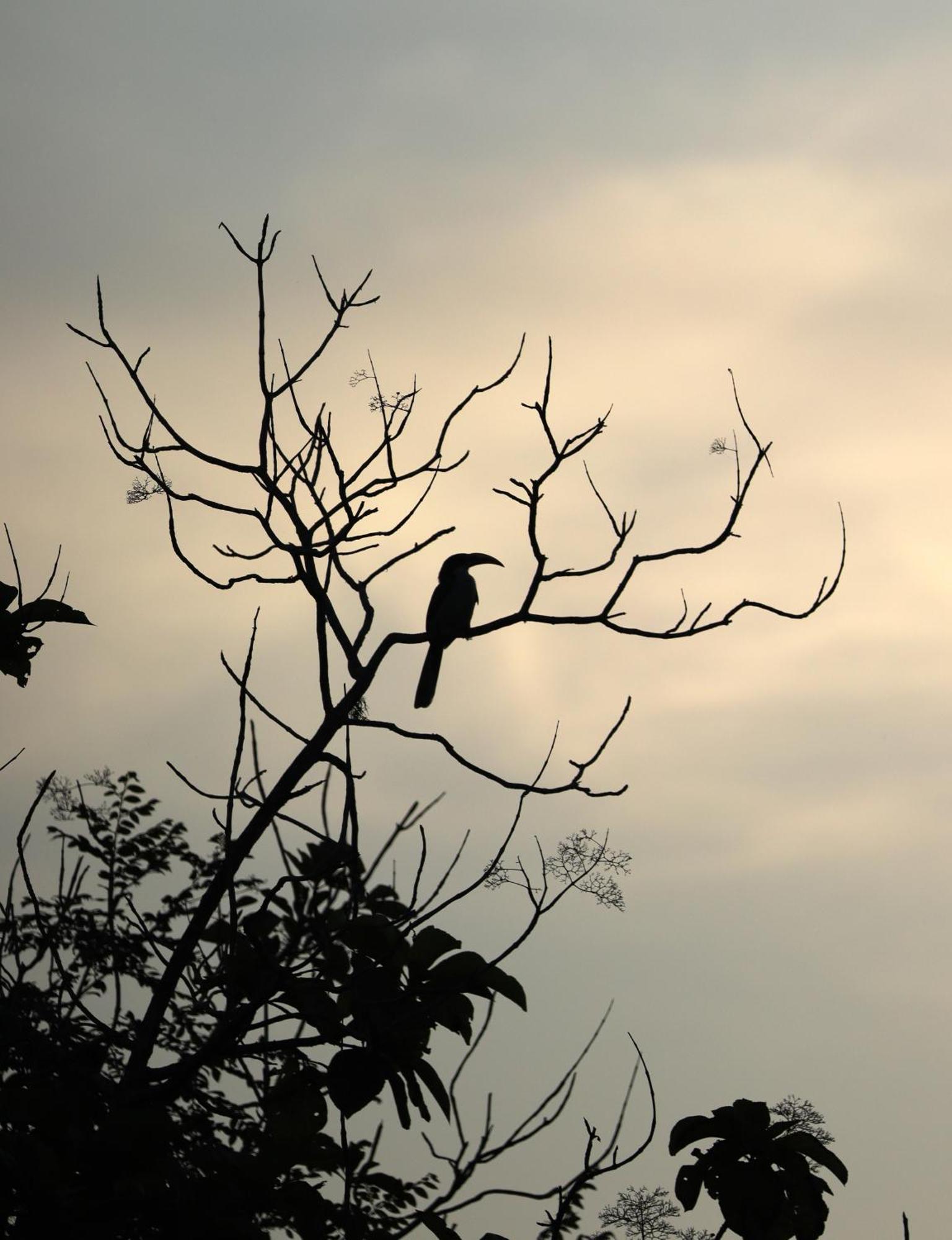 Hotel Three Little Birds Tangalle Exterior foto
